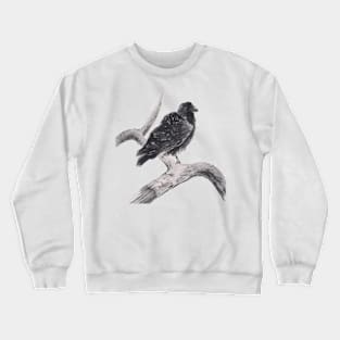 A Curious Raven Crewneck Sweatshirt